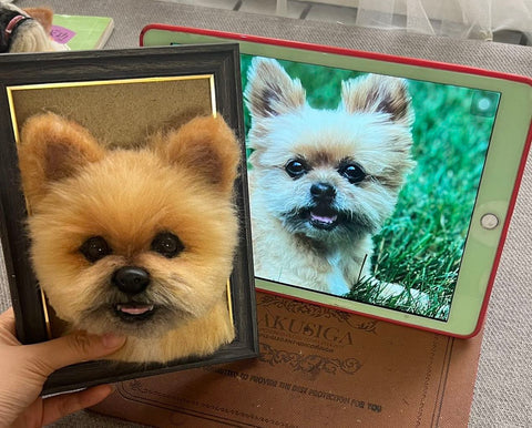 A Fuzzy Tribute to Winston