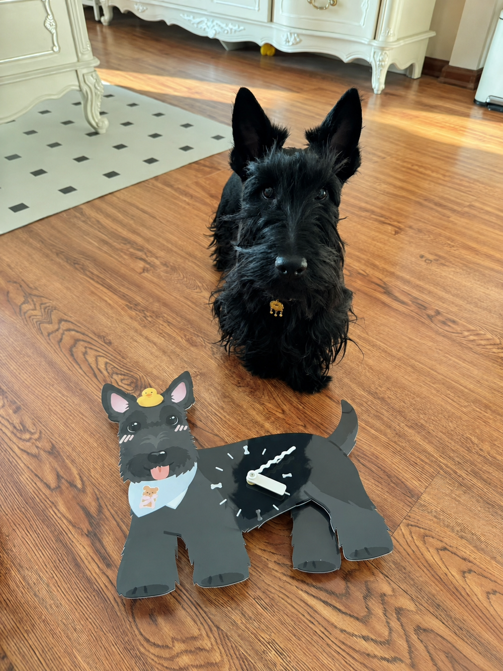 A custom pet clock displayed at home